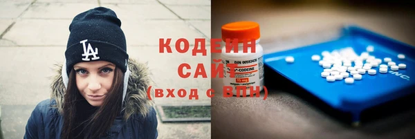 прущий лед Алзамай