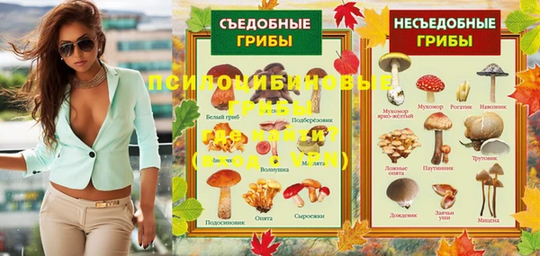 ECSTASY Алексеевка
