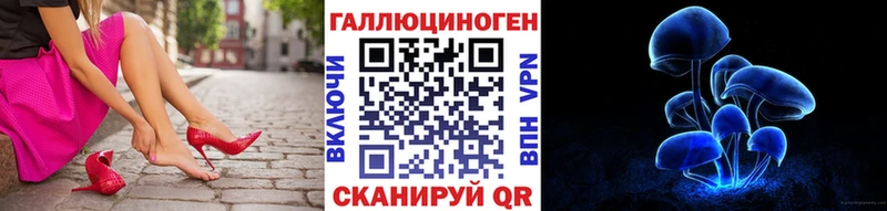 хочу   Безенчук  Псилоцибиновые грибы Psilocybe 